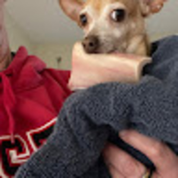 Meet your Posher, Melissa - Picture 1 of 1